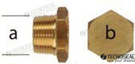 BOUCHON POUR ANODE ZINC ANODE YANMAR