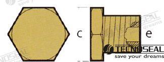 TAPPI PER ZINC ANODO CATERPILLAR 3126
