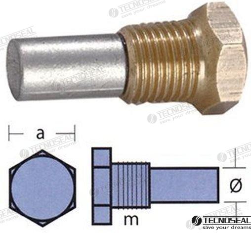 ANODE BUKH AVEC BOUCHON